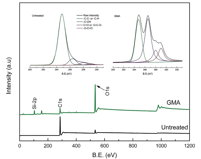 等離子體處理麥秸的測(cè)量掃描和高分辨率XPS光譜