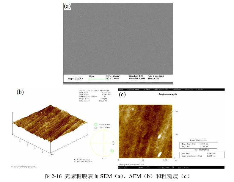 圖3-1 殼聚糖膜表面SEM(a)、AFM(b)和粗糙度(c) 