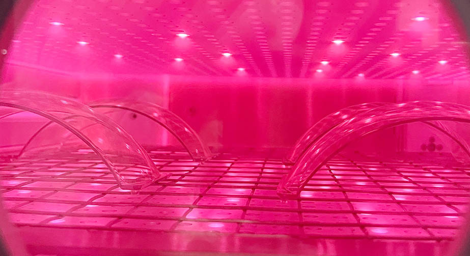 等離子體清洗技術(shù)分類、特點